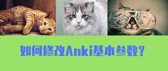 ankidroid苹果版下载ankidroid官网下载不了-第2张图片-太平洋在线下载