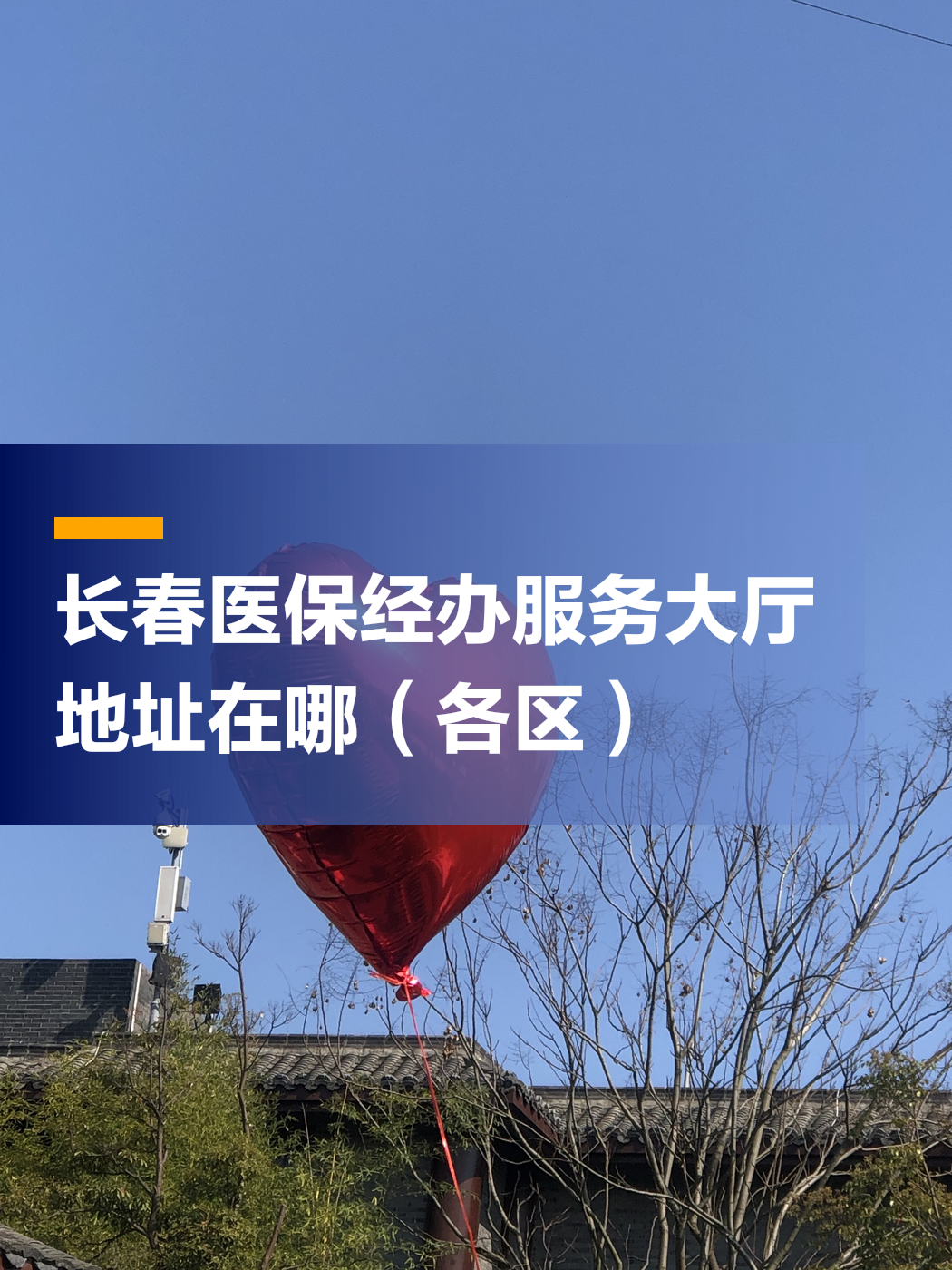 长春医保手机版长春医疗器械官网-第2张图片-太平洋在线下载